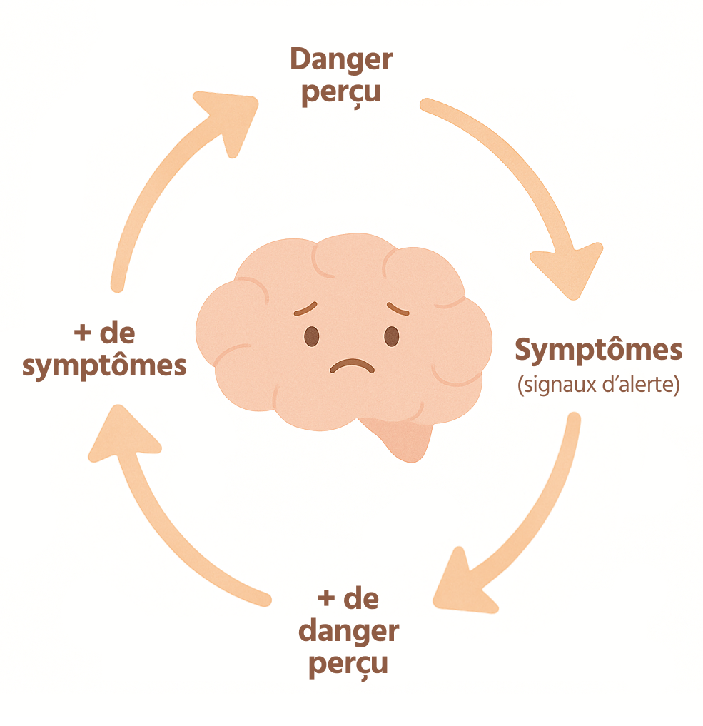 Cercle vicieux: Danger perçu → Symptômes (signaux d'alerte) → + de danger perçu → + de symptômes