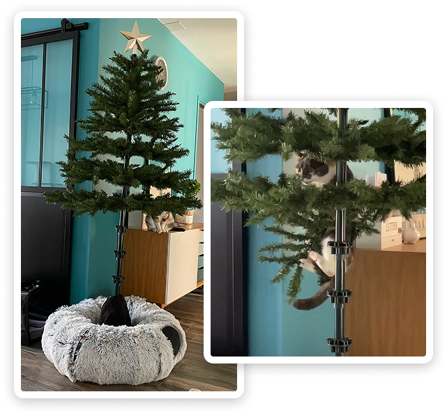 Première image : un sapin de Noël en plastique sans aucune décoration. Deuxième image : un chat suspendu dans le sapin de Noël.