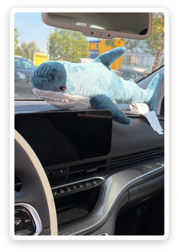 Une peluche requin Blåhaj d'IKEA est posée sur le tableau de bord d'une voiture, avec un magasin IKEA visible à travers le pare-brise.