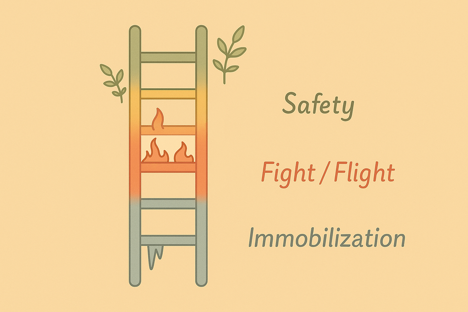 The polyvagal scale: the state of safety, green with small plants; the state of fight-or-flight, red with fire; the state of immobilization, blue with ice.